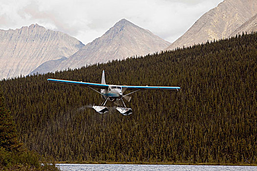 两栖飞机,加拿大,水獭,湖,风河,山峦,育空地区