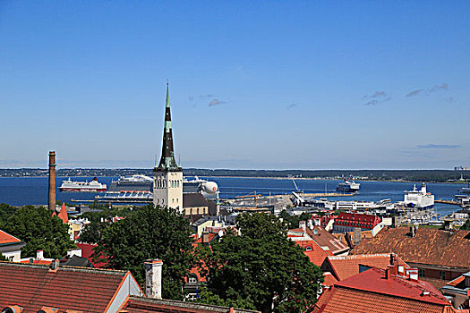 教堂,乘客,港口,波罗的海,风景,塔,大教堂,塔林,爱沙尼亚,欧洲