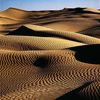 突尼斯,撒哈拉沙漠,东部大沙漠,沙丘
