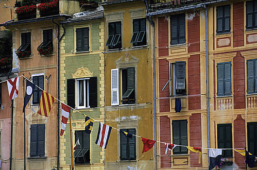 意大利,波托菲诺,彩色,房子,航海,旗帜