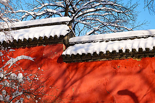 冬季沈阳北陵红墙