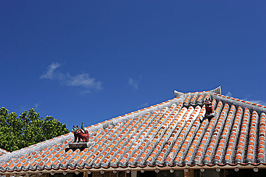 岛屿,城镇,冲绳