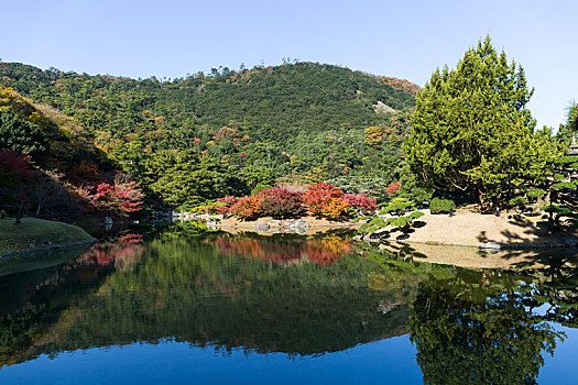 传统,日本,花园,秋天