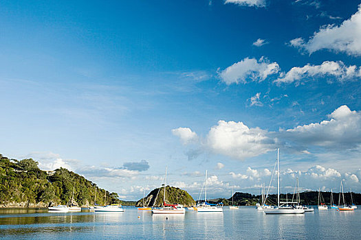 岛屿湾,游艇,湾,靠近