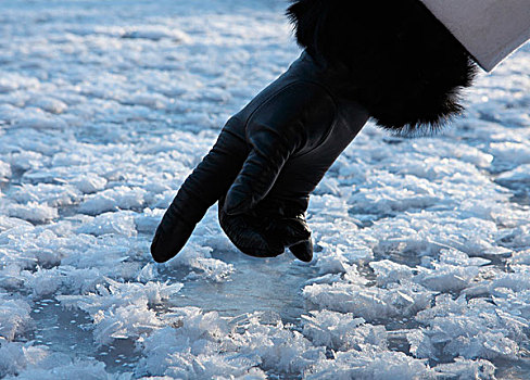 加拿大,艾伯塔省,特写,向上,戴手套,手指,接触,冰,晶莹