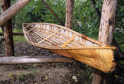 传统,独木舟,木框,遮盖,桦树,安克里奇,阿拉斯加
