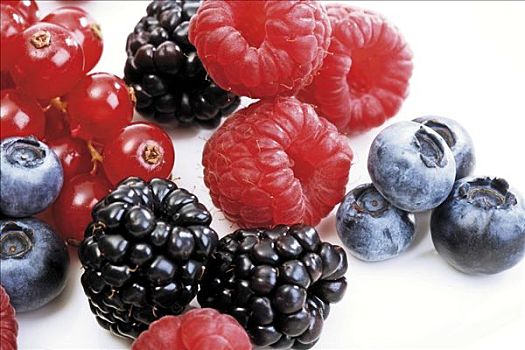 混交林,浆果,蓝莓,树莓,黑莓,红醋栗