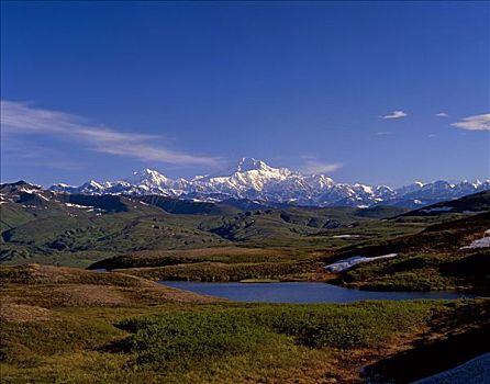 夏天,景色,麦金立山,德纳里峰国家公园,阿拉斯加