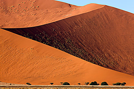 纳米比诺克陆夫国家公园,索苏维来地区,沙丘,纳米比亚