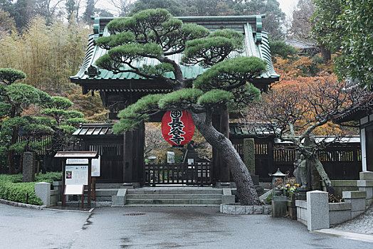 日本长谷寺