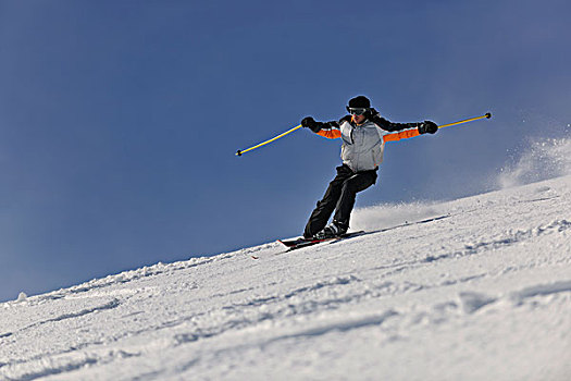 男人,滑雪,自由,乘,下坡,冬天,漂亮,晴天,粉状雪