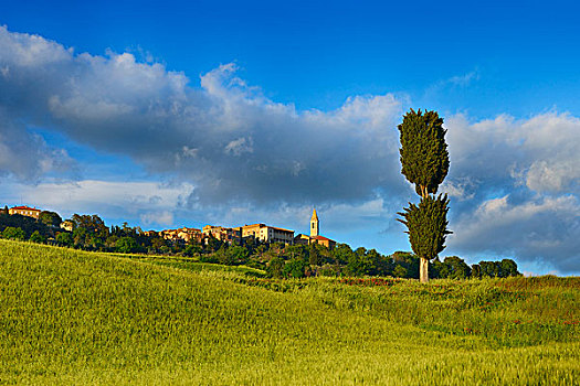 皮恩扎,山顶,柏树,绿色,地点,世界遗产,锡耶纳省,托斯卡纳,意大利