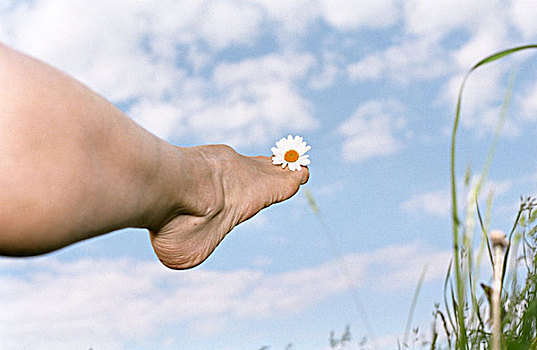 花,脚,空中