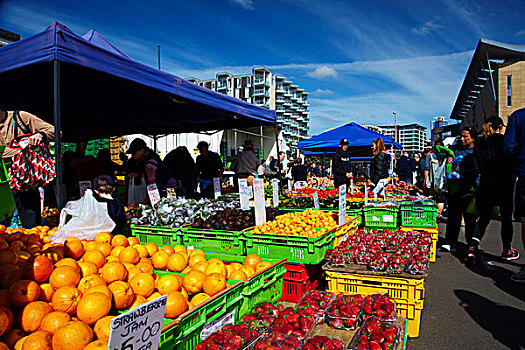 果蔬,市场,惠灵顿,北岛,新西兰