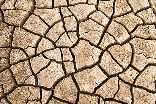 缝隙,泥,干燥,季节,焦奇,国家公园,塞内加尔,非洲