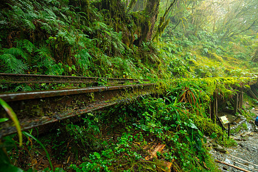 台湾宜兰县太平山见晴古道,是著名的旅游胜地