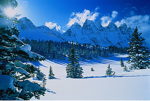 冬天,山谷,碧玉国家公园,艾伯塔省,加拿大