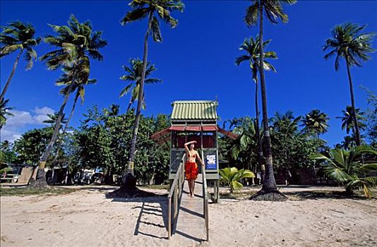海滩,棕榈树,波多黎各,加勒比海