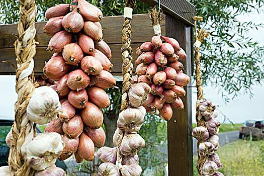 葱类,蒜辫,出售,布列塔尼半岛,法国