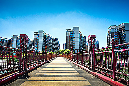桥,公园,城市