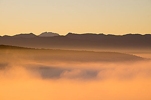 晨雾,日出,上方,风景,棒,背影,阿尔卑斯山,上巴伐利亚,巴伐利亚,德国,欧洲