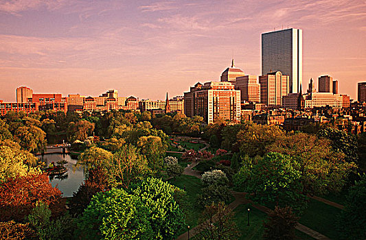 美国,波士顿,天际线,公共花园