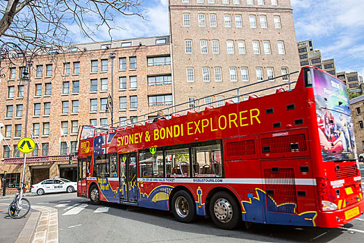 悉尼,探索,红色公交车,石头,区域