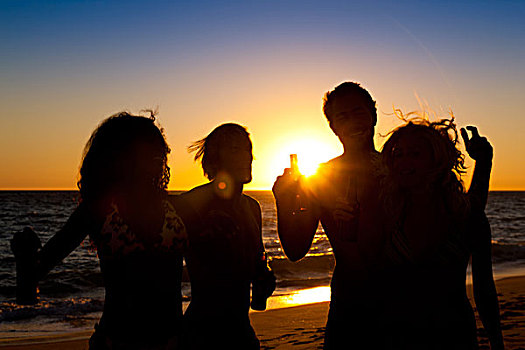 人,海滩,聚会,喝,很多,有趣,日落,剪影,风景,瓶子,太阳,发光