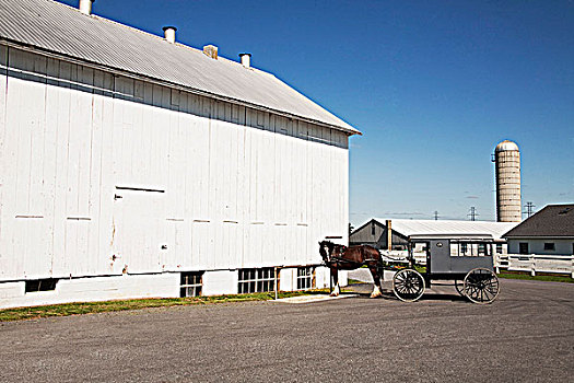 马车,靠近,谷仓,农场,兰卡斯特,宾夕法尼亚,美国