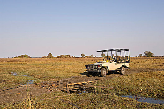 旅游,吉普车,卡富埃国家公园,赞比亚,非洲