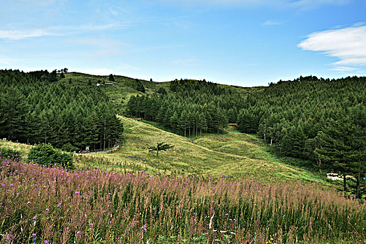 河北省石家庄市平山县驼梁风景区