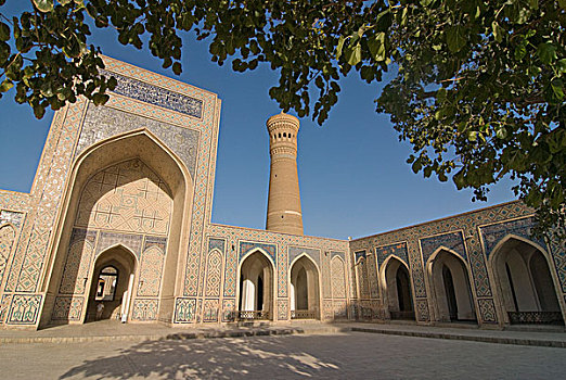 乌兹别克斯坦,布哈拉,清真寺,院落