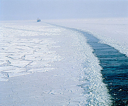 冰,遮盖,海洋