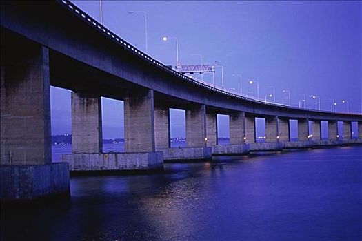 桥,里约热内卢,巴西