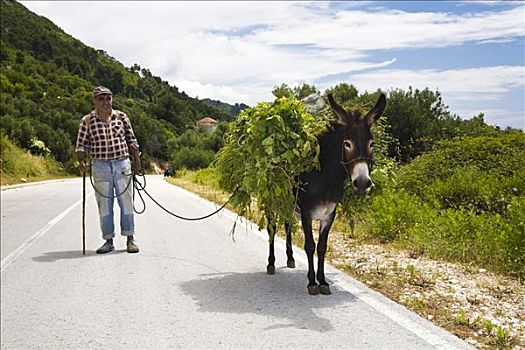农民,驴,乡间小路,杜布罗夫斯克-内雷特瓦县,达尔马提亚,克罗地亚,欧洲
