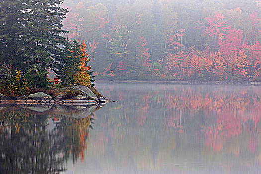 秋天,反射,湖,雾状,早晨,萨德伯里,安大略省