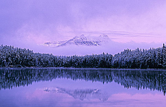 赫伯特湖,顶峰,黎明,班芙国家公园,艾伯塔省,加拿大