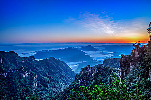 湖南,张家界,峰林,朝霞,云海