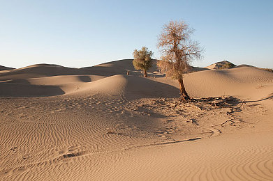 沙漠化图片
