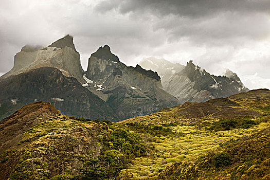 南美,智利,托雷德裴恩国家公园,一个,山,公园
