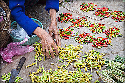蔬菜,市场,琅勃拉邦,老挝