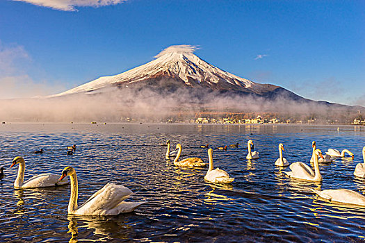 日本富士山