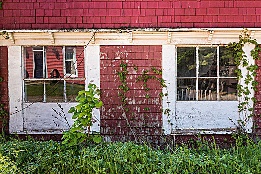 窗户,房子,维多利亚,爱德华王子岛,加拿大