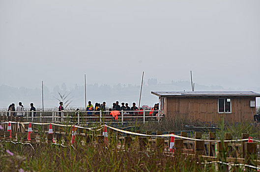 贵州草海风光,威宁,草海,木船,栖息地,海,淡水湖,渔船,湖水,湖泊,湿地,湿地高原,秋色,船只,草,贵州风光,风光,高原湖泊,黑颈鹤,国家一级保护鸟类,鸟类,海鸟,花海