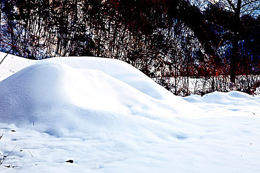 雪景