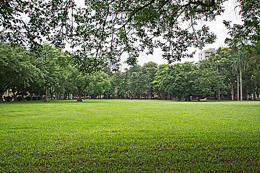 广州中山大学