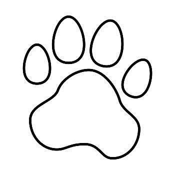 动物的脚简笔画六年级图片