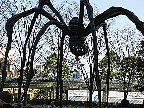 蜘蛛,雕塑,山,东京,日本
