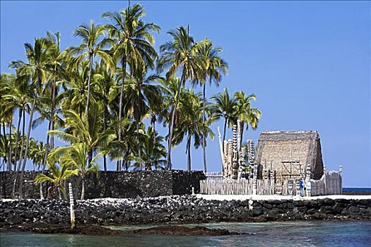 棕榈树,正面,建筑,国家,历史,公园,科纳海岸,夏威夷,美国