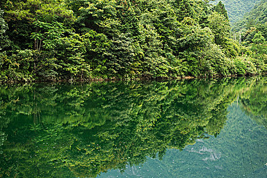 漂亮,风景,山,河,夏天